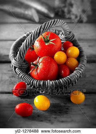 Mixed tomatoes View Large Photo Image Stock Photo - Mixed tomatoes. Fotosearch