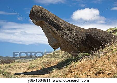 Moai in various stages of completion littered around the hillside of Rano Raraku also known as the moai nursery View Large Photo Image Stock Image - Moai in various stages of completion littered around the hillside of Rano Raraku also known as the moai nursery. Fotosearch