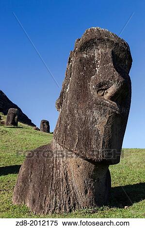 moais in rano raraku in easter island. View Large Photo Image Stock Photography - moais in rano raraku in easter island.. Fotosearch
