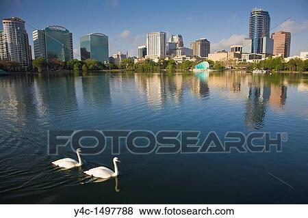 Modern architecture skyline of Orlando Florida reflects in Lake Eola View Large Photo Image Stock Photo - Modern architecture skyline of Orlando Florida reflects in Lake Eola. Fotosearch