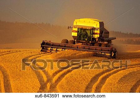 Stock Image - Modern combine finishing the last of the harvest Idaho, United States. Fotosearch