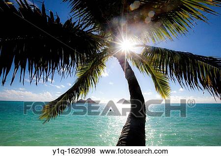 Mokulua Islands, Lanaikai, Oahu, Hawaii View Large Photo Image Stock Photo - Mokulua Islands, Lanaikai, Oahu, Hawaii. Fotosearch