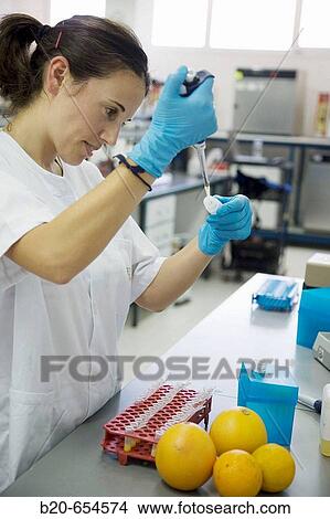 Molecular Biology Laboratory. Preparing samples to detect the addition of tangerine to orange juice with DNA techniques. AZTI-Tecnalia. Technological Centre specialised in Marine and Food Research. Sukarrieta, Bizkaia, Euskadi. Spain. View Large Photo Image Picture - Molecular Biology Laboratory. Preparing samples to detect the addition of tangerine to orange juice with DNA techniques. AZTI-Tecnalia. Technological Centre specialised in Marine and Food Research. Sukarrieta, Bizkaia, Euskadi. Spain.. Fotosearch