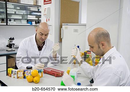 Stock Image - Molecular Biology Laboratory. Preparing samples to detect the addition of tangerine to orange juice with DNA techniques. AZTI-Tecnalia. Technological Centre specialised in Marine and Food Research. Sukarrieta, Bizkaia, Euskadi. Spain.. Fotosearch