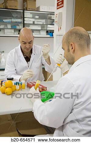 Molecular Biology Laboratory. Preparing samples to detect the addition of tangerine to orange juice with DNA techniques. AZTI-Tecnalia. Technological Centre specialised in Marine and Food Research. Sukarrieta, Bizkaia, Euskadi. Spain. View Large Photo Image Stock Image - Molecular Biology Laboratory. Preparing samples to detect the addition of tangerine to orange juice with DNA techniques. AZTI-Tecnalia. Technological Centre specialised in Marine and Food Research. Sukarrieta, Bizkaia, Euskadi. Spain.. Fotosearch