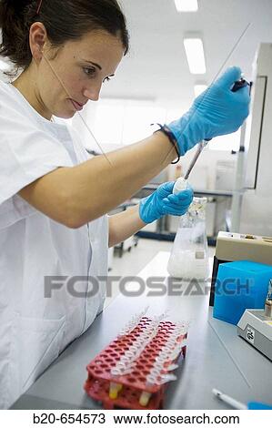 Molecular Biology Laboratory. Preparing samples to detect the addition of tangerine to orange juice with DNA techniques. AZTI-Tecnalia. Technological Centre specialised in Marine and Food Research. Sukarrieta, Bizkaia, Euskadi. Spain. View Large Photo Image Stock Image - Molecular Biology Laboratory. Preparing samples to detect the addition of tangerine to orange juice with DNA techniques. AZTI-Tecnalia. Technological Centre specialised in Marine and Food Research. Sukarrieta, Bizkaia, Euskadi. Spain.. Fotosearch