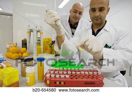 Stock Image - Molecular Biology Laboratory. Preparing samples to detect the addition of tangerine to orange juice with DNA techniques. AZTI-Tecnalia. Technological Centre specialised in Marine and Food Research. Sukarrieta, Bizkaia, Euskadi. Spain.. Fotosearch
