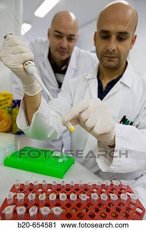 Molecular Biology Laboratory. Preparing samples to detect the addition of tangerine to orange juice with DNA techniques. AZTI-Tecnalia. Technological Centre specialised in Marine and Food Research. Sukarrieta, Bizkaia, Euskadi. Spain. View Large Photo Image Stock Image - Molecular Biology Laboratory. Preparing samples to detect the addition of tangerine to orange juice with DNA techniques. AZTI-Tecnalia. Technological Centre specialised in Marine and Food Research. Sukarrieta, Bizkaia, Euskadi. Spain.. Fotosearch