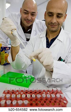 Molecular Biology Laboratory. Preparing samples to detect the addition of tangerine to orange juice with DNA techniques. AZTI-Tecnalia. Technological Centre specialised in Marine and Food Research. Sukarrieta, Bizkaia, Euskadi. Spain. View Large Photo Image Stock Image - Molecular Biology Laboratory. Preparing samples to detect the addition of tangerine to orange juice with DNA techniques. AZTI-Tecnalia. Technological Centre specialised in Marine and Food Research. Sukarrieta, Bizkaia, Euskadi. Spain.. Fotosearch