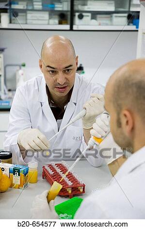 Stock Photo - Molecular Biology Laboratory. Preparing samples to detect the addition of tangerine to orange juice with DNA techniques. AZTI-Tecnalia. Technological Centre specialised in Marine and Food Research. Sukarrieta, Bizkaia, Euskadi. Spain.. Fotosearch