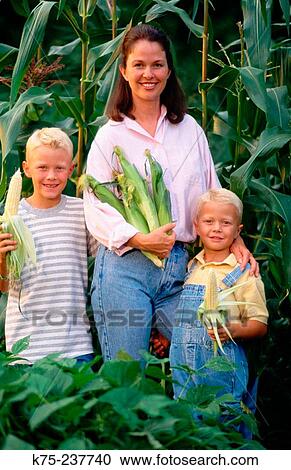 Mom, her sons and fresh corn View Large Photo Image Stock Image - Mom, her sons and fresh corn. Fotosearch