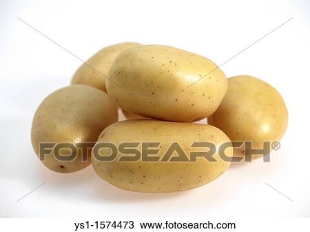 Mona Lisa Potato, Solanum tuberosum, Vegetables against White Background View Large Photo Image Stock Image - Mona Lisa Potato, Solanum tuberosum, Vegetables against White Background. Fotosearch