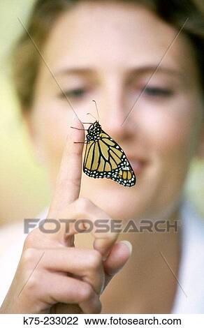Stock Image - Monarch butterfly (Danaus plexippus). Fotosearch