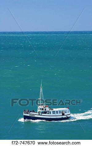 Stock Image - Monarch Tour Boat on Wildlife Tour, near Taiaroa Head, Otago Peninsula, Dunedin, South Island, New Zealand,. Fotosearch
