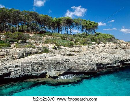 Mondrag? National Park. Mallorca. Balearic Islands. Spain. View Large Photo Image Stock Image - Mondrag? National Park. Mallorca. Balearic Islands. Spain.. Fotosearch