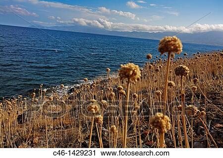 Stock Image - Monenvassia medieval town, Laconia, Peloponnese, Greece. Fotosearch
