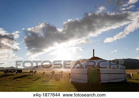 Picture - Mongolia, Orkhon Valley, View of yurt and lambs on pasture on Gobi desert. Fotosearch