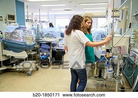 Monitoring, Medical care, Neonate Intensive Care Unit, Donostia Hospital, San Sebastian, Donostia, Gipuzkoa, Basque Country, Spain View Large Photo Image Stock Image - Monitoring, Medical care, Neonate Intensive Care Unit, Donostia Hospital, San Sebastian, Donostia, Gipuzkoa, Basque Country, Spain. Fotosearch