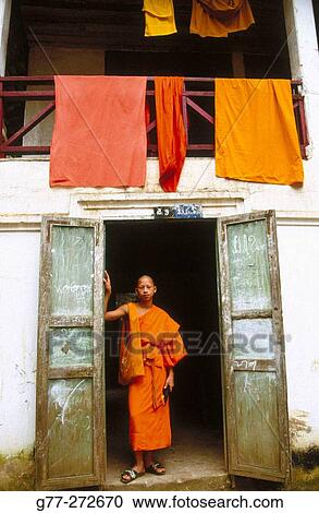 Monk in monastery. Luang Prabang, Laos View Large Photo Image Stock Image - Monk in monastery. Luang Prabang, Laos. Fotosearch