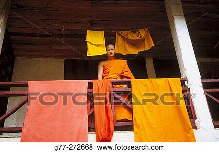 Monk in monastery. Luang Prabang, Laos View Large Photo Image Stock Photo - Monk in monastery. Luang Prabang, Laos. Fotosearch