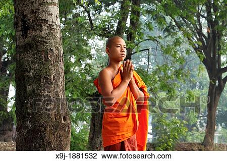 Monk studying under the tree, Shan State, Myanmar, burma View Large Photo Image Stock Image - Monk studying under the tree, Shan State, Myanmar, burma. Fotosearch