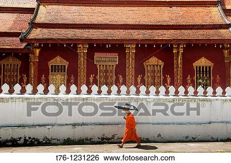 monk walking in Luang Prabang in Laos View Large Photo Image Stock Photograph - monk walking in Luang Prabang in Laos. Fotosearch