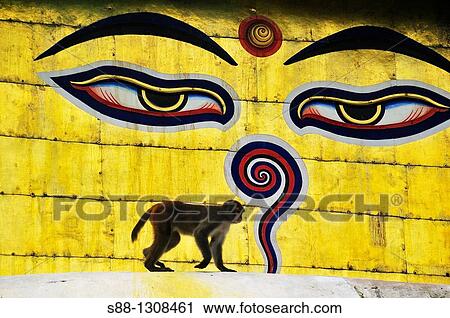 Stock Image - Monkey before painted Buddha eyes on the Stupa of Swayambhunath temple, Kathmandu Valley, Nepal.. Fotosearch