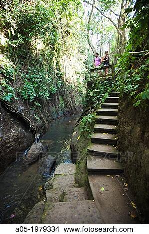 Monkey Forest, Ubud, Bali, Indonesia. View Large Photo Image Picture - Monkey Forest, Ubud, Bali, Indonesia.. Fotosearch