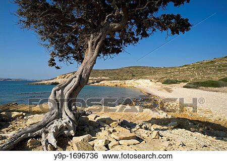 Stock Photograph - Monodendri beach, Lipsi Island, Dodecanese, Greece. Fotosearch