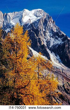 Mont Blanc at sunrise, Courmayeur, Aosta Valley, Italy View Large Photo Image Stock Image - Mont Blanc at sunrise, Courmayeur, Aosta Valley, Italy. Fotosearch