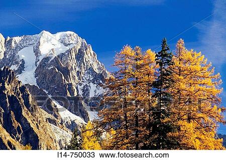 Mont Blanc at sunrise, Courmayeur, Aosta Valley, Italy View Large Photo Image Stock Image - Mont Blanc at sunrise, Courmayeur, Aosta Valley, Italy. Fotosearch