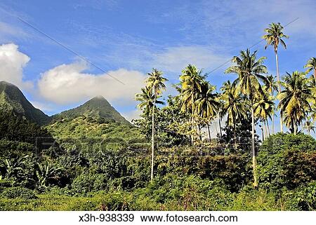 mont Rotui, Moorea, iles de la Societe, archipel de la Polynesie francaise, ocean pacifique sud View Large Photo Image Stock Photo - mont Rotui, Moorea, iles de la Societe, archipel de la Polynesie francaise, ocean pacifique sud. Fotosearch