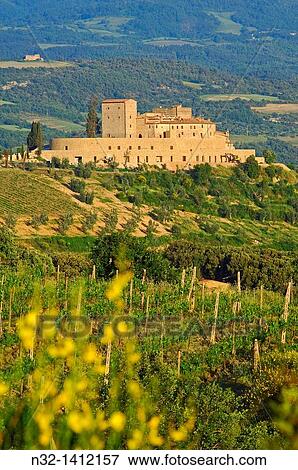 Montalcino, Vineyards, Val d? Orcia, Orcia Valley, UNESCO World Heritage Site, Siena Province, Tuscany, Tuscany landscape, Italy View Large Photo Image Stock Photo - Montalcino, Vineyards, Val d? Orcia, Orcia Valley, UNESCO World Heritage Site, Siena Province, Tuscany, Tuscany landscape, Italy. Fotosearch