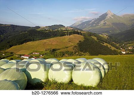 Monte Txindoki, Sierra de Aralar, Lazkaomendi, Gipuzkoa, Euskadi, Spain. View Large Photo Image Stock Photograph - Monte Txindoki, Sierra de Aralar, Lazkaomendi, Gipuzkoa, Euskadi, Spain.. Fotosearch