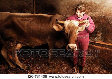 Stock Photograph - Montefosca. Friuli-Venezia Giulia, Italy. Fotosearch