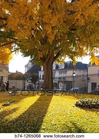 montrichard, loir et cher, france View Large Photo Image Stock Photo - montrichard, loir et cher, france. Fotosearch