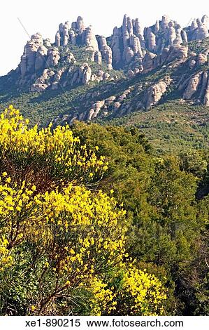 Stock Photography - Montserrat mountains. Bages, Barcelona province, Catalonia, Spain. Fotosearch
