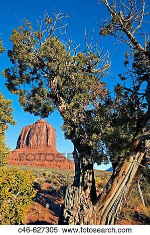 Monument Valley Navajo Tribal Park. Arizona/Utah. USA View Large Photo Image Stock Photography - Monument Valley Navajo Tribal Park. Arizona/Utah. USA. Fotosearch