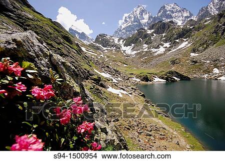 Picture - Monviso massif in Cuneo province, Piedmont, Italy. Fotosearch
