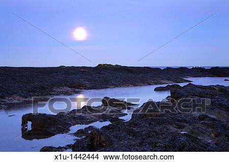 Moonrise at Doo Craigs St Andrews Fife Scotland View Large Photo Image Picture - Moonrise at Doo Craigs St Andrews Fife Scotland. Fotosearch