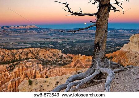 Moonrise through the earth shadow as seen in from Bryce Point in Bryce Canyon National Park View Large Photo Image Stock Photo - Moonrise through the earth shadow as seen in from Bryce Point in Bryce Canyon National Park. Fotosearch