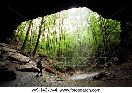 Picture - Moore Cove Falls - Pisgah National Forest - near Brevard, North Carolina, USA. Fotosearch