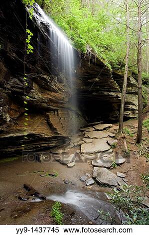 Moore Cove Falls - Pisgah National Forest - near Brevard, North Carolina, USA View Large Photo Image Stock Photography - Moore Cove Falls - Pisgah National Forest - near Brevard, North Carolina, USA. Fotosearch