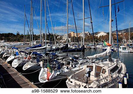 Mooring Sailboats at the Yachting Marina of Funchal, Madeira, Portugal, Europe View Large Photo Image Stock Photo - Mooring Sailboats at the Yachting Marina of Funchal, Madeira, Portugal, Europe. Fotosearch
