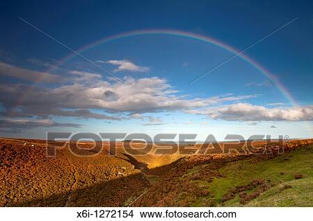 Picture - Moorland and Rainbow, red grouse moor in autumn, Allendale, Northumberland, England. Fotosearch