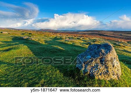 Moorland near Haytor Rocks, a granite tor in Dartmoor National Park, Devon, England, UK, Europe View Large Photo Image Stock Photo - Moorland near Haytor Rocks, a granite tor in Dartmoor National Park, Devon, England, UK, Europe. Fotosearch