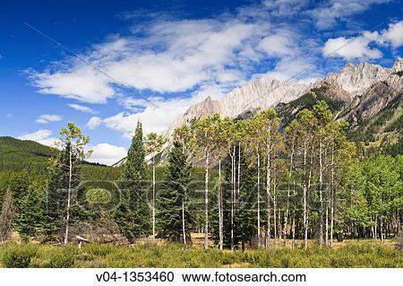 Stock Image - Moose Meadows in the Banff National Park, Alberta, Canada. Fotosearch