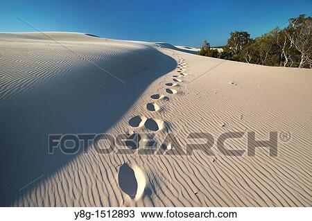Stock Image - Mooving dunes in the Slowinski National Park, Poland, Europe. Fotosearch