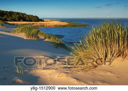 Mooving dunes in the Slowinski National Park, Poland, Europe View Large Photo Image Stock Image - Mooving dunes in the Slowinski National Park, Poland, Europe. Fotosearch