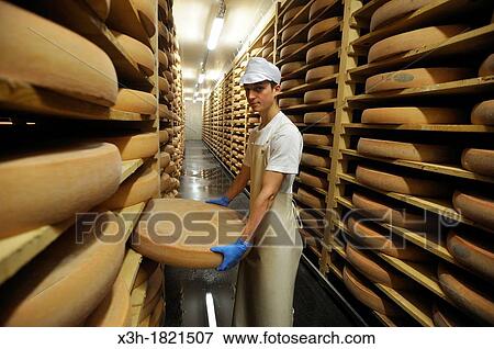 Morbier ripening cellar, cheese factory, Lagrange aux fromages, Fromagerie Sancey Richard of Mont d? or, Metabief, Doubs departement, Franche-Comte region, France Europe View Large Photo Image Stock Photo - Morbier ripening cellar, cheese factory, Lagrange aux fromages, Fromagerie Sancey Richard of Mont d? or, Metabief, Doubs departement, Franche-Comte region, France Europe. Fotosearch